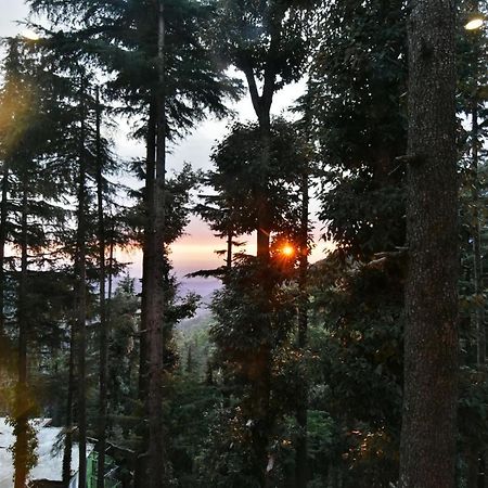 Hotel Kings Далхаузи Экстерьер фото